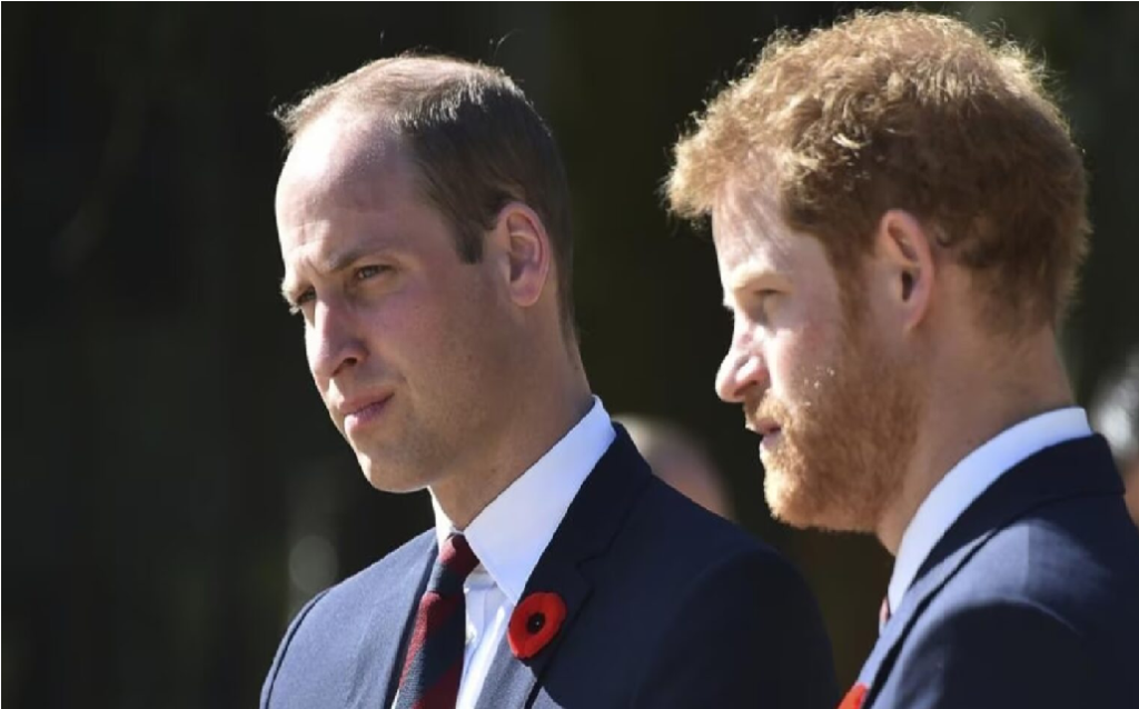  Prince William is making a grave mistake by pushing his younger brother Harry away, says Princess Diana confidant..See More