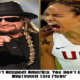 Brittney Griner ‘Screams’ After Kid Rock Bluntly Criticizes