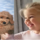 Uncle Travis gifted his niece an adorable golden furry friend,