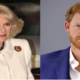 Prince Harry goes viral with scathing two-word remark about Queen Camilla