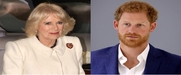 Prince Harry goes viral with scathing two-word remark about Queen Camilla