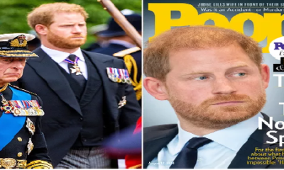 The Real Reason Prince Harry and King Charles Are No Longer Speaking