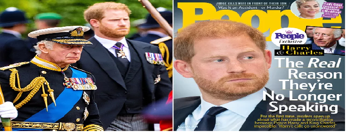 The Real Reason Prince Harry and King Charles Are No Longer Speaking