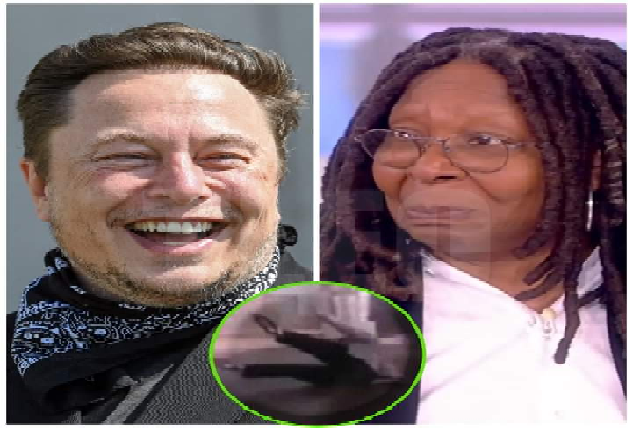 Whoopi Goldberg flipped out of her chair during her interview with Elon Musk and Musk’s surprising response