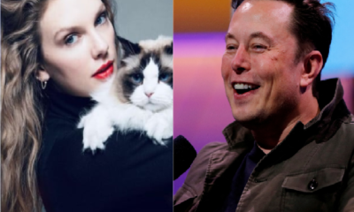 Internet reacts to Elon Musk's tweet after Taylor Sw