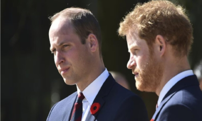 Prince William is making a grave mistake by pushing his younger brother Harry away, says Princess Diana confidant..See More