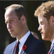 Prince William is making a grave mistake by pushing his younger brother Harry away, says Princess Diana confidant..See More